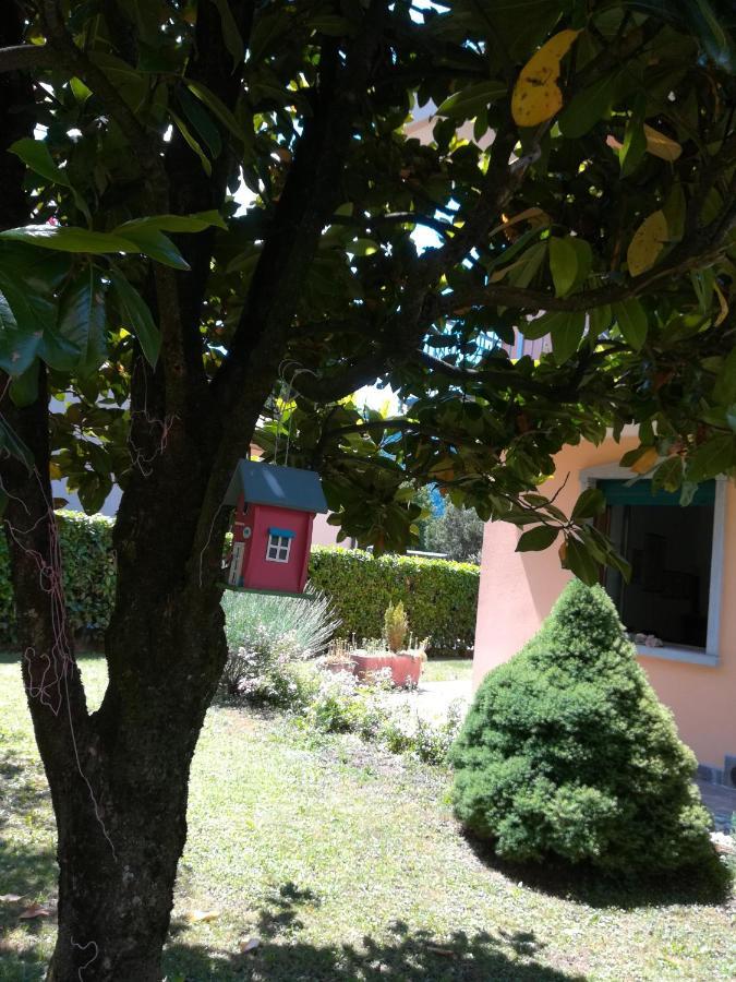 La Moia Bed & Breakfast Cerete Exterior foto